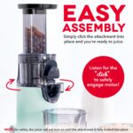 Compact Cold Press Power Juicer