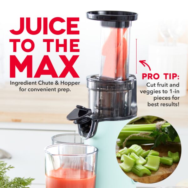 Compact Cold Press Power Juicer