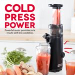 Compact Cold Press Power Juicer