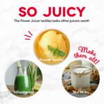 Compact Cold Press Power Juicer