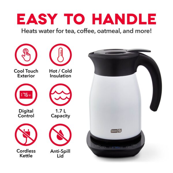 Insulated Electric Kettle