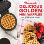 Mini Waffle Maker