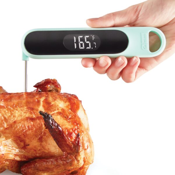 Precision Quick-Read Thermometer