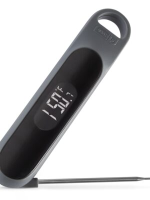 Precision Quick-Read Thermometer