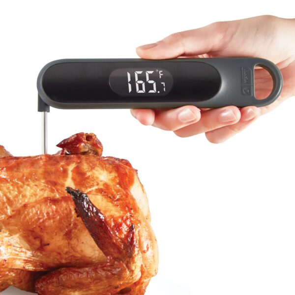 Precision Quick-Read Thermometer