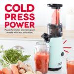 Compact Cold Press Power Juicer