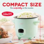 Mini Rice Cooker with Keep Warm