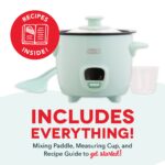 Mini Rice Cooker with Keep Warm