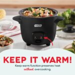 Mini Rice Cooker with Keep Warm