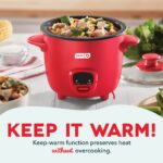 Mini Rice Cooker with Keep Warm