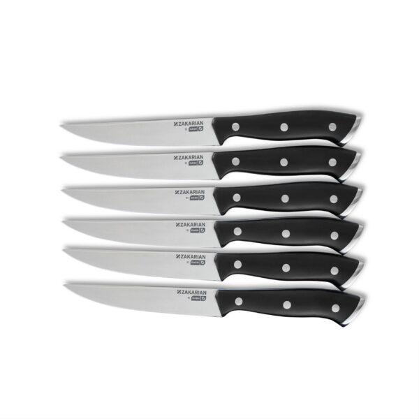 Zakarian by Dash 6 Piece Steak Knife Set