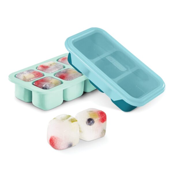 Perfect Portion Freezer Trays